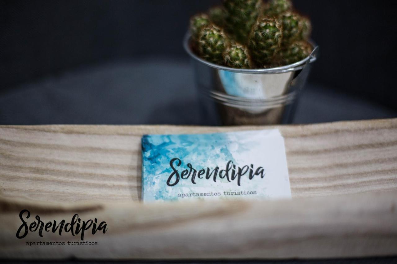 Apartment Serendipia